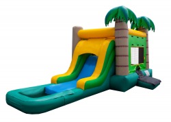 20Tropical20Combo20–20Wet20or20Dry201 995823306 The Tropical Combo – WET